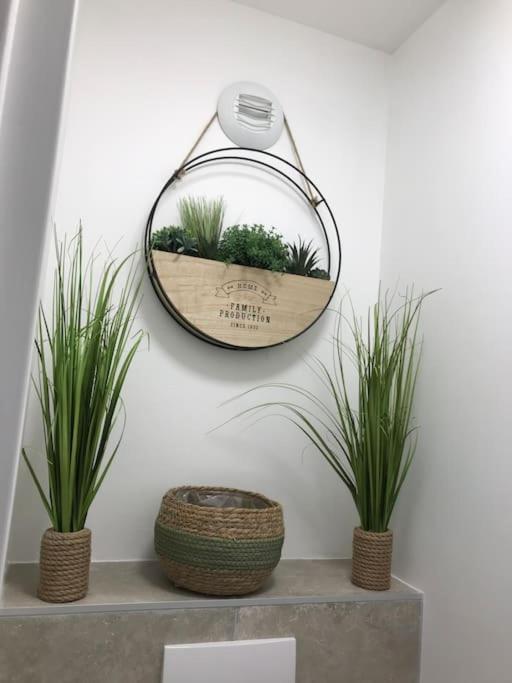 Studio « Oasis Provencale » 발로리스 외부 사진